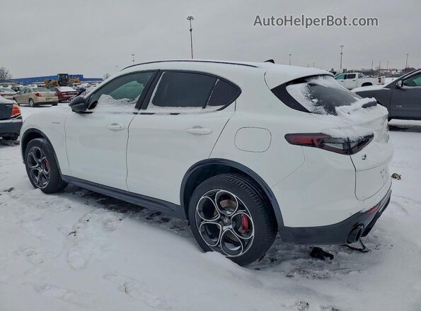 ZASPAKAN7S7D96902 2025 ALFA ROMEO STELVIO White Հետևի ձախ