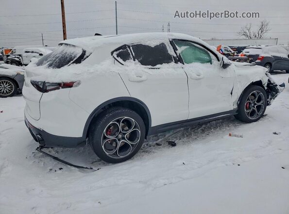 ZASPAKAN7S7D96902 2025 ALFA ROMEO STELVIO White Հետևի աջ