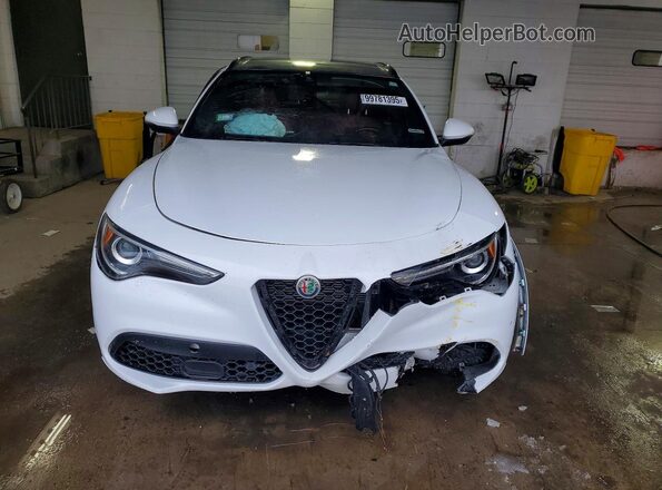 ZASPAKBN0L7C94356 2020 ALFA ROMEO STELVIO White Front view