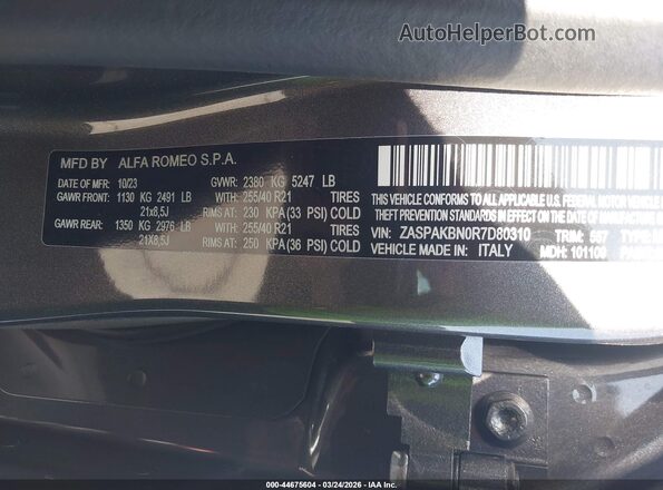 ZASPAKBN0R7D80310 2024 ALFA ROMEO STELVIO Gray Շարժիչի բաժամունքի տեսք