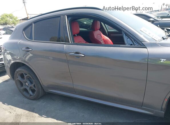 ZASPAKBN0R7D80310 2024 ALFA ROMEO STELVIO Gray Սալոնի 360 աստիճան տեսք