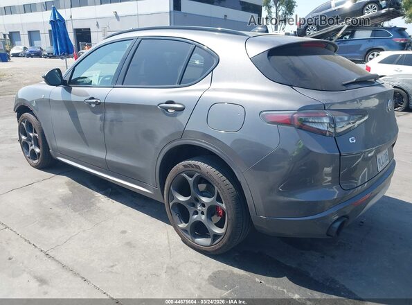 ZASPAKBN0R7D80310 2024 ALFA ROMEO STELVIO Gray Հետևի ձախ