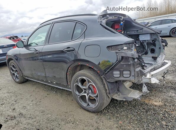 ZASPAKBN1R7D70532 2024 ALFA ROMEO STELVIO Black Հետևի ձախ