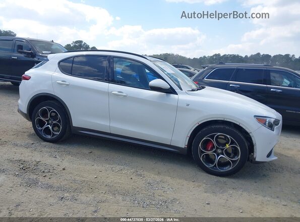ZASPAKBN2P7D59164 2023 ALFA ROMEO STELVIO White Вид задньої частини салону