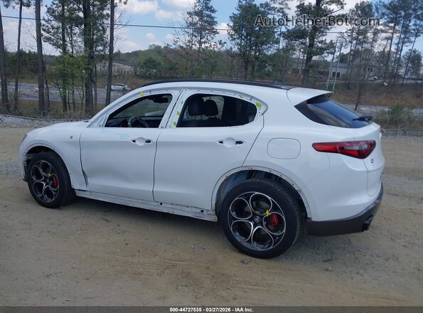 ZASPAKBN2P7D59164 2023 ALFA ROMEO STELVIO White Панорамний вид салону 360°
