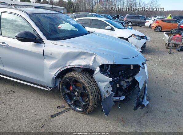 ZASPAKBN2R7D82060 2024 ALFA ROMEO STELVIO Silver წინა ხედი