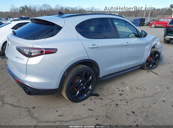 ZASPAKBN2R7D82060 2024 ALFA ROMEO STELVIO Silver უკანა მარჯვენა