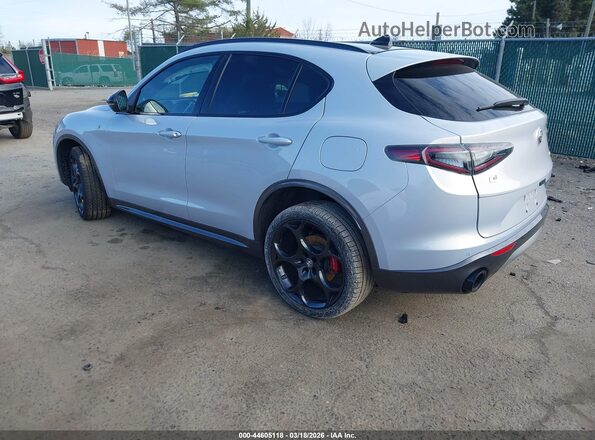 ZASPAKBN2R7D82060 2024 ALFA ROMEO STELVIO Silver უკანა მარცხენა