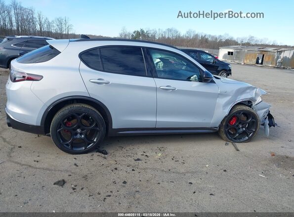 ZASPAKBN2R7D82060 2024 ALFA ROMEO STELVIO Silver სალონის 360-გრადუსიანი ხედი