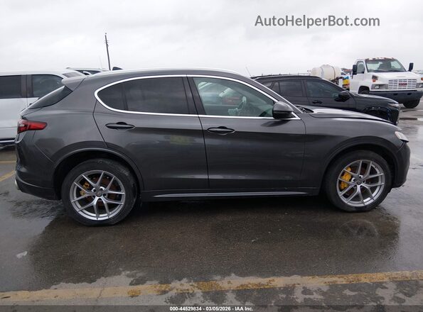 ZASPAKBN4M7D18739 2021 ALFA ROMEO STELVIO Серый Вид задней части салона