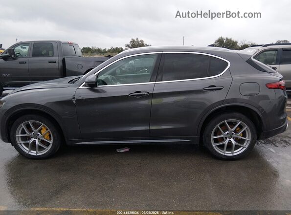ZASPAKBN4M7D18739 2021 ALFA ROMEO STELVIO Серый Панорамный вид салона 360°