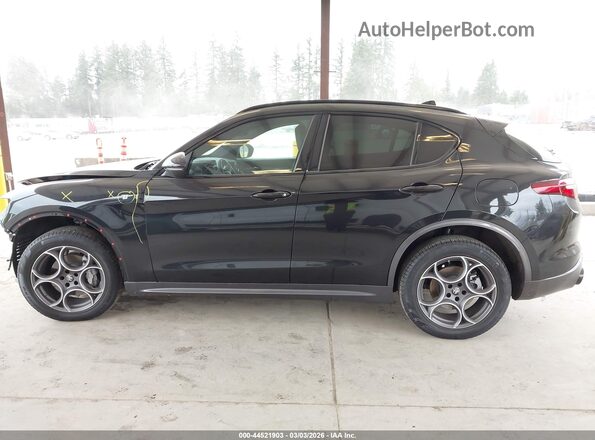 ZASPAKBN6P7D63797 2023 ALFA ROMEO STELVIO Black Панорамний вид салону 360°
