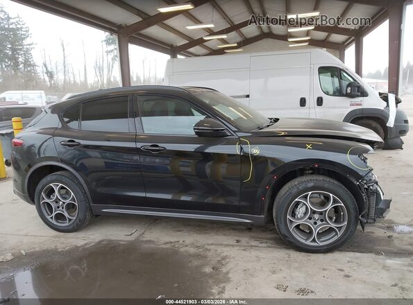 ZASPAKBN6P7D63797 2023 ALFA ROMEO STELVIO Black Вид задньої частини салону