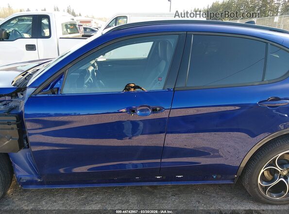 ZASPAKBN7N7D26982 2022 ALFA ROMEO STELVIO Blue 