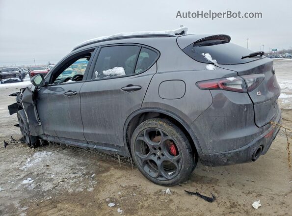 ZASPAKBN7R7D82796 2024 ALFA ROMEO STELVIO Gray Задня ліва чверть