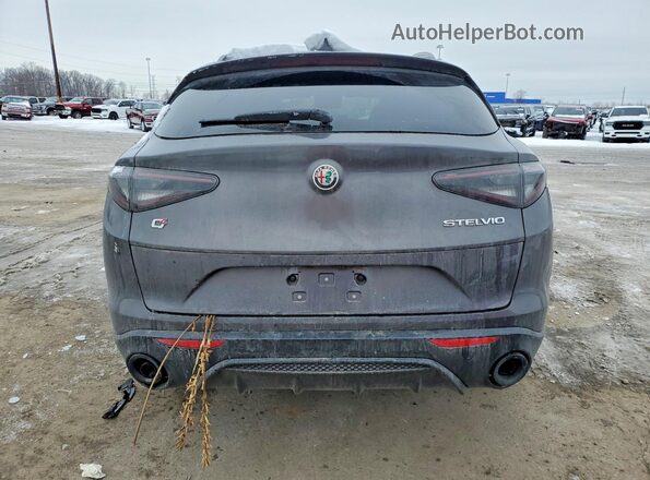 ZASPAKBN7R7D82796 2024 ALFA ROMEO STELVIO Gray Вид ззаду