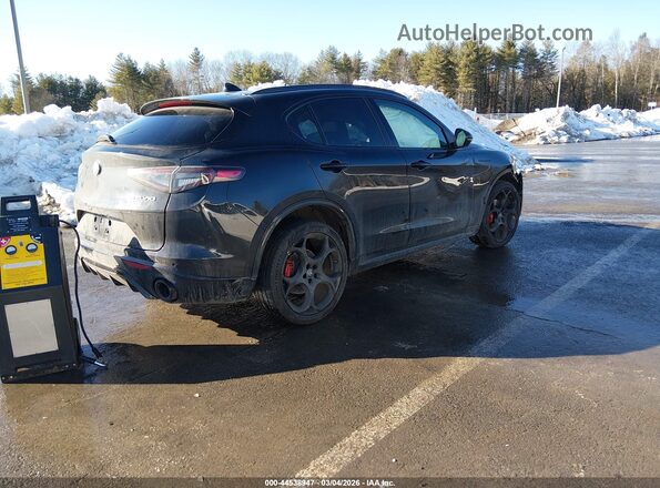 ZASPAKBN8R7D76747 2024 ALFA ROMEO STELVIO Black Հետևի աջ