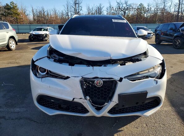 ZASPAKBN9K7C41623 2019 ALFA ROMEO STELVIO White Widok z przodu
