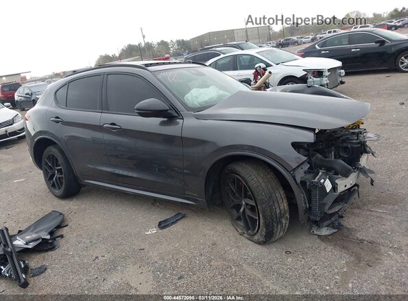 ZASPAKBN9M7D19692 2021 ALFA ROMEO STELVIO Серый Вид задней части салона