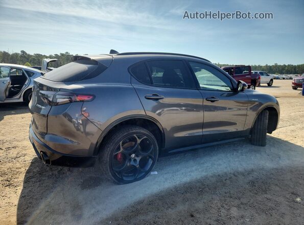 ZASPAKBN9R7D79379 2024 ALFA ROMEO STELVIO Gray Задня права чверть