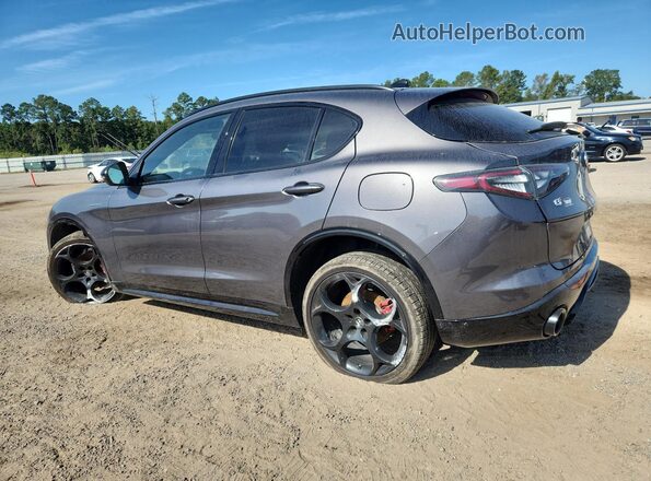 ZASPAKBN9R7D79379 2024 ALFA ROMEO STELVIO Gray Задня ліва чверть