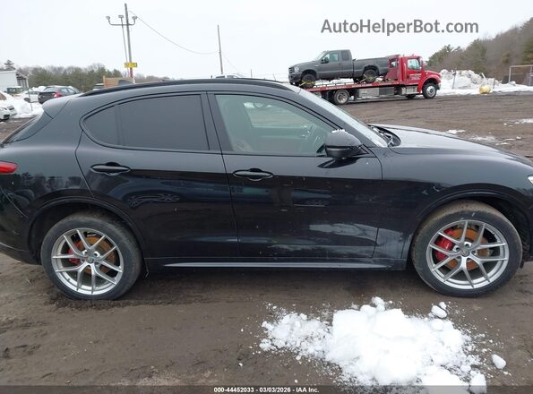 ZASPAKBNXL7C74390 2020 ALFA ROMEO STELVIO Black Вид задньої частини салону