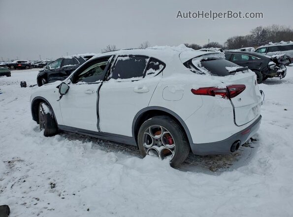 ZASPAKBNXN7D47731 2022 ALFA ROMEO STELVIO White Հետևի ձախ