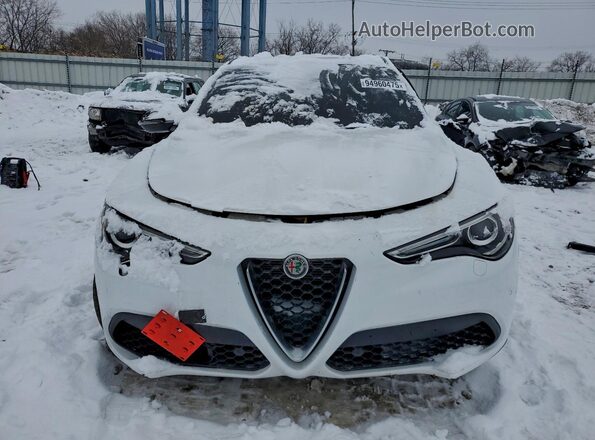 ZASPAKBNXN7D47731 2022 ALFA ROMEO STELVIO White Դիմացի տեսք