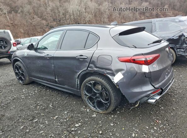 ZASPAKEV8P7D67930 2023 ALFA ROMEO STELVIO Gray Задня ліва чверть