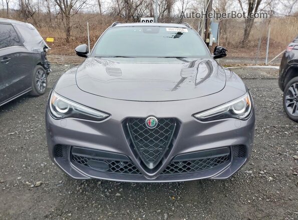 ZASPAKEV8P7D67930 2023 ALFA ROMEO STELVIO Gray Вид спереду