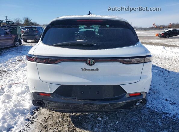 ZASPATDW9R3052366 2024 ALFA ROMEO OTHER White Rear view