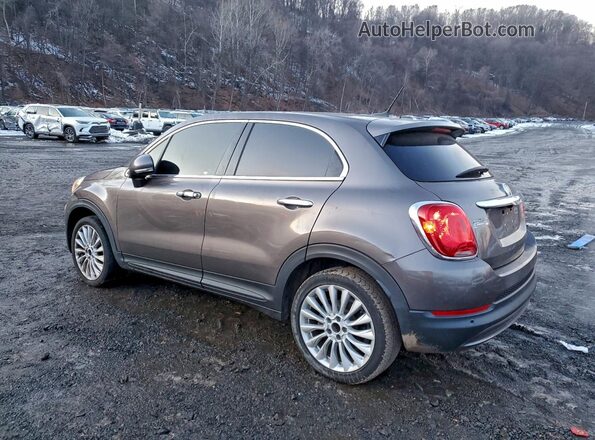 ZFBCFXDT5GP356893 2016 FIAT 500X Gray Задня ліва чверть