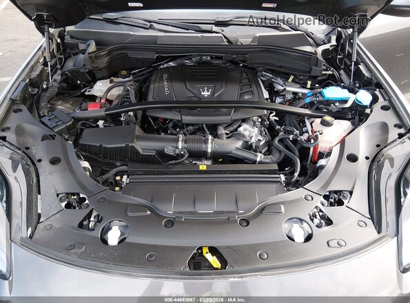 ZN682AVA3P7416001 2023 MASERATI GRECALE Серый Вид сзади