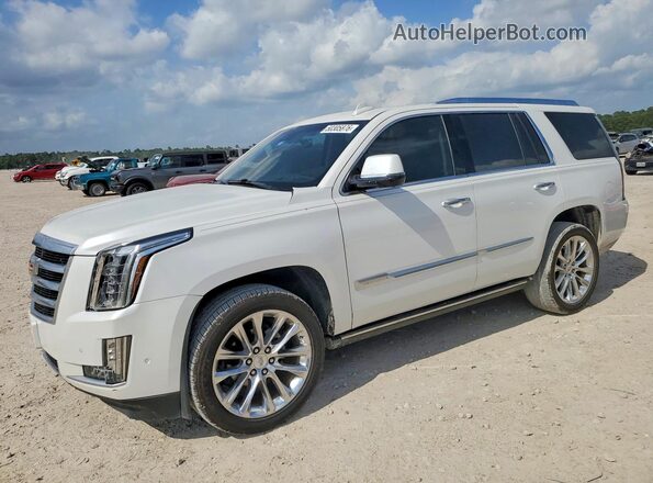 1GYS4CKJ9KR127049 2019 CADILLAC ESCALADE Белый Задняя левая четверть