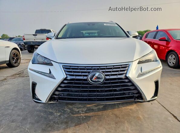JTJDARBZ3M5029044 2021 LEXUS NX White Widok z tyłu