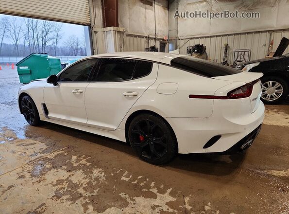 KNAE35LC5K6060207 2019 KIA STINGER White Tył prawy