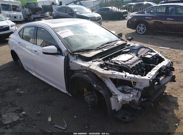 19UUB3F49KA006708 2019 ACURA TLX White 
