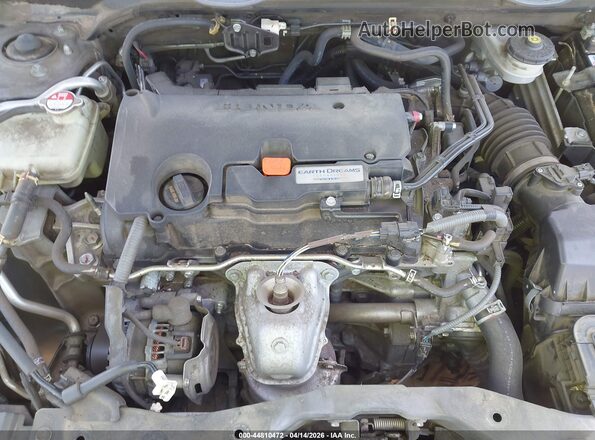 19XFC2F77HE016460 2017 HONDA CIVIC Gray Widok z tyłu