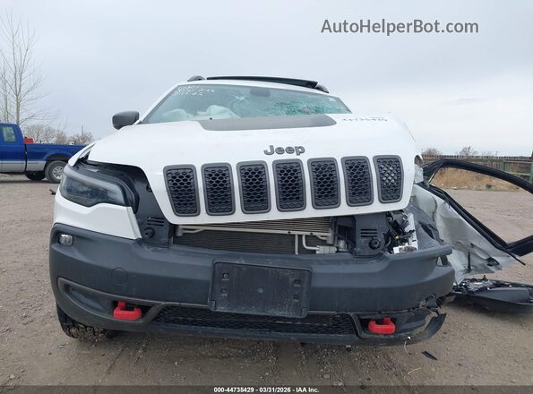 1C4PJMBX0LD630367 2020 JEEP CHEROKEE Белый Вид задней части салона