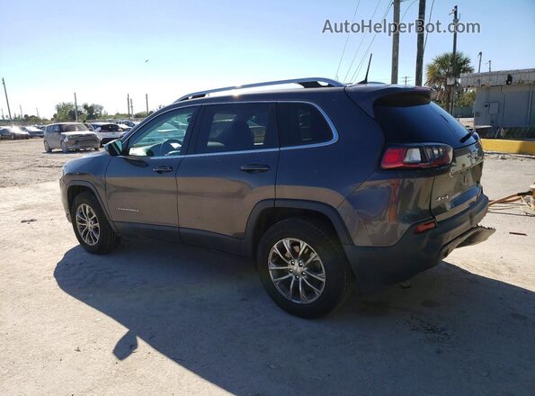 1C4PJMLB0KD181029 2019 JEEP CHEROKEE Gray Tył lewy
