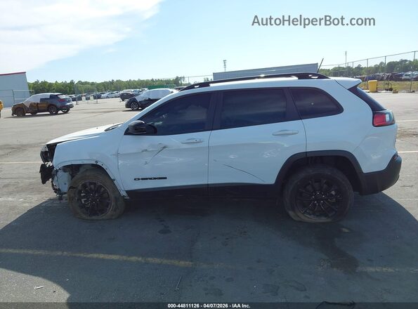 1C4PJMMB1PD115367 2023 JEEP CHEROKEE Белый Панорамный вид салона 360°