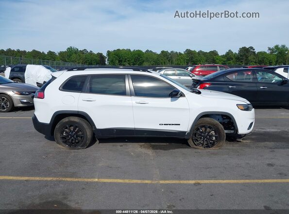 1C4PJMMB1PD115367 2023 JEEP CHEROKEE Белый Вид задней части салона
