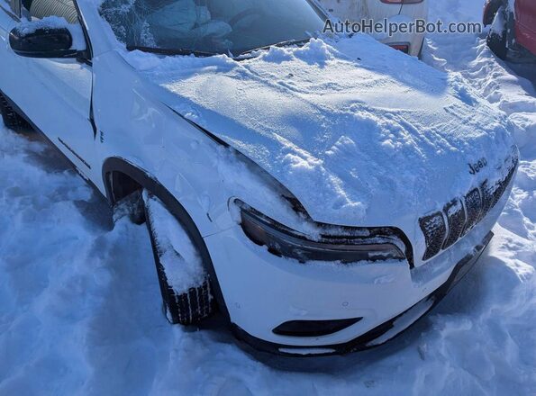 1C4PJMMB2PD113627 2023 JEEP CHEROKEE Белый Передняя правая четверть