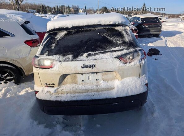 1C4PJMMB2PD113627 2023 JEEP CHEROKEE Белый Вид сзади