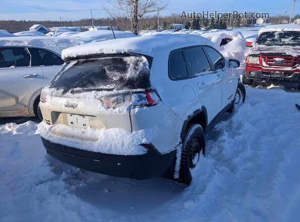 1C4PJMMB2PD113627 2023 JEEP CHEROKEE Белый Задняя правая четверть