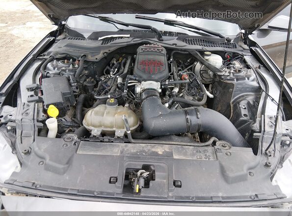 1FA6P8CF5K5113023 2019 FORD MUSTANG Gray Vista trasera