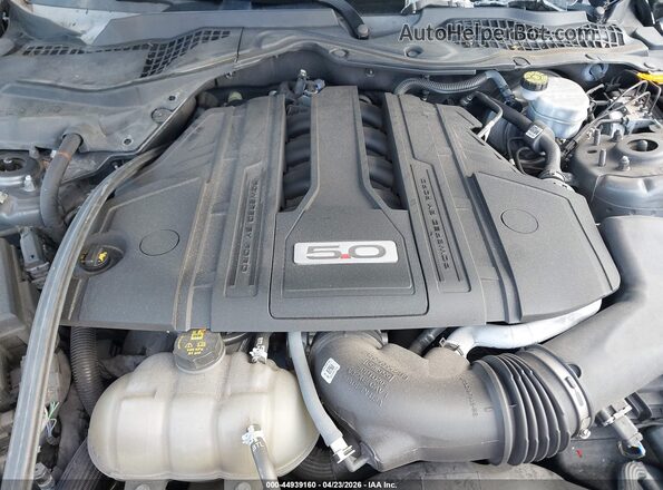 1FA6P8CF5M5156375 2021 FORD MUSTANG Gray Вид ззаду