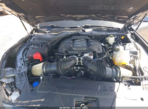 1FA6P8CF7S5413680 2025 FORD MUSTANG Gray Вид ззаду
