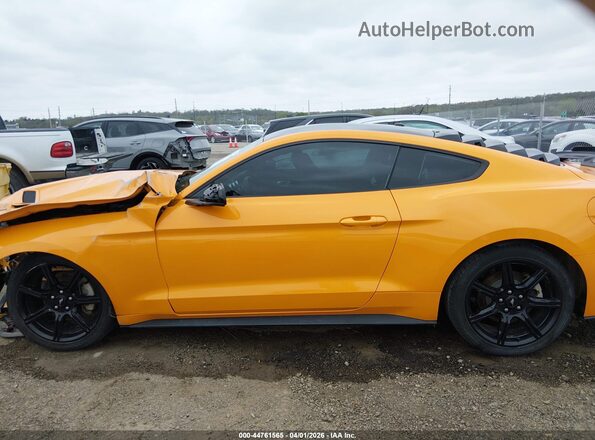 1FA6P8TH0K5118423 2019 FORD MUSTANG Orange Vista interior de 360 grados