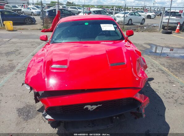 1FA6P8TH0L5176758 2020 FORD MUSTANG Red უკანა სალონის ხედი